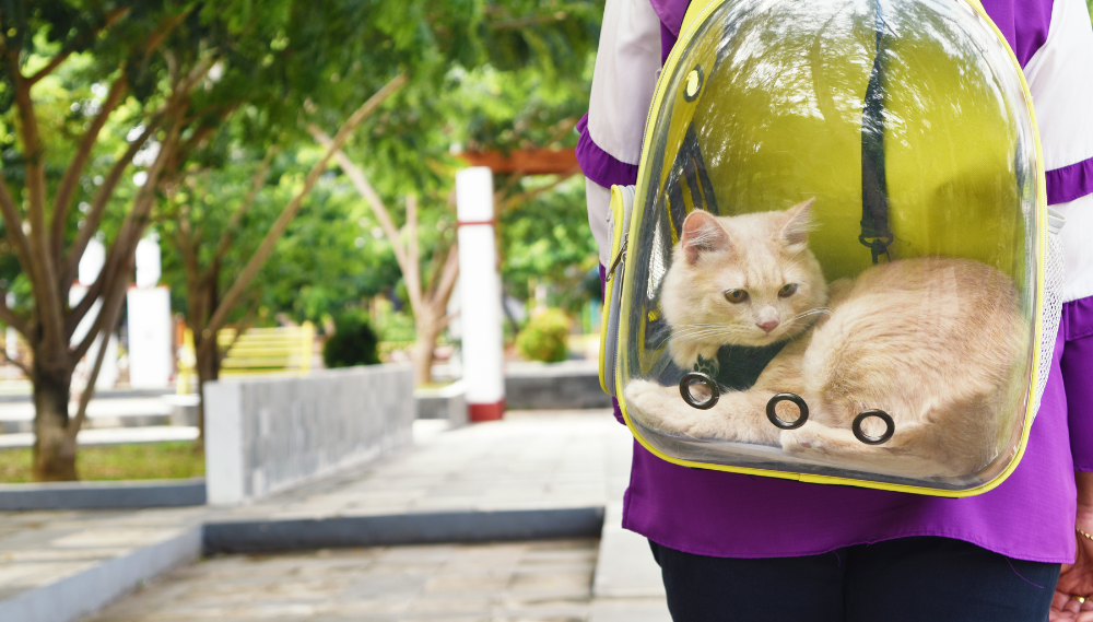 Sac de transport animaux