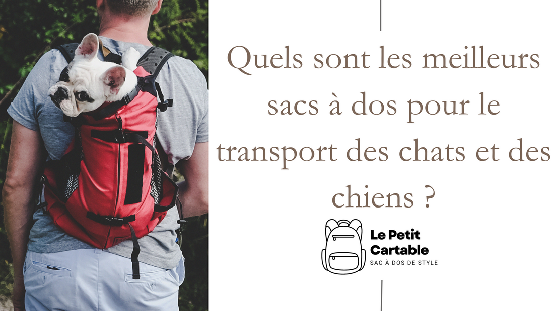 Quels sont les meilleurs sacs à dos pour le transport des chats et des chiens ?