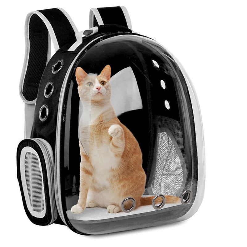 Sac à dos pour chat et chien capsule
