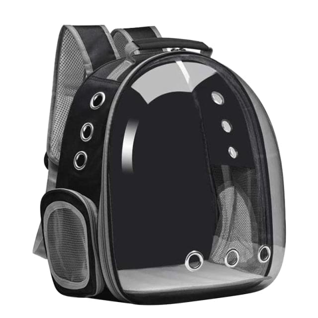 sac à dos Chat
